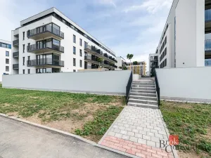 Pronájem bytu 1+kk, Plzeň - Jižní Předměstí, Železná, 47 m2