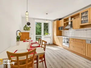 Prodej rodinného domu, Březnice, 225 m2