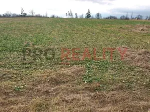 Prodej pozemku pro bydlení, Velké Albrechtice, 1041 m2