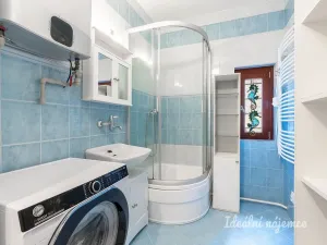 Pronájem rodinného domu, Brandýsek - Olšany, Olšanská I, 100 m2