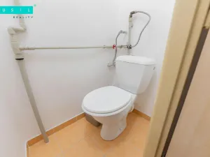 Pronájem bytu 3+1, Olomouc - Nová Ulice, Dvořákova, 80 m2