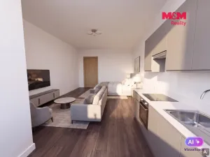 Pronájem bytu 1+kk, Mělník, Mladoboleslavská, 19 m2