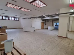 Pronájem obchodního prostoru, Orlová - Lutyně, F. S. Tůmy, 739 m2