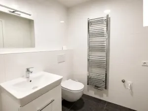 Pronájem bytu 1+kk, Hradec Králové - Nový Hradec Králové, Pod Zámečkem, 28 m2
