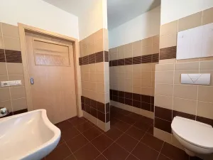Pronájem bytu 2+kk, Nový Malín, 65 m2