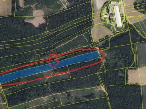 Prodej podílu lesa, Zádolí, 12979 m2
