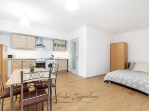 Prodej bytu 1+kk, Pardubice - Zelené Předměstí, Hronovická, 62 m2