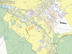 Prodej louky, Strašice, 11381 m2