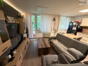 Prodej bytu 4+1, Most, F. L. Čelakovského, 67 m2