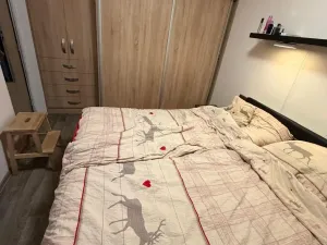 Prodej bytu 4+1, Most, F. L. Čelakovského, 67 m2