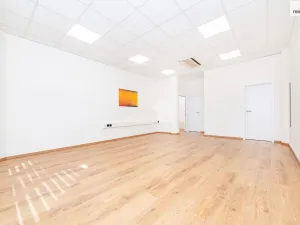 Pronájem kanceláře, Praha - Vršovice, Smolenská, 46 m2
