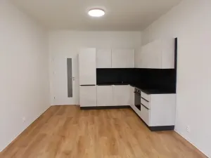 Pronájem bytu 3+kk, Brno - Veveří, Gorkého, 73 m2
