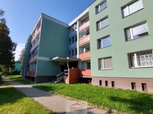 Pronájem bytu 1+kk, Valašské Meziříčí, Vsetínská, 24 m2