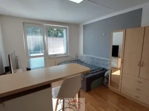 Pronájem bytu 1+kk, Valašské Meziříčí, Vsetínská, 24 m2