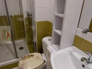 Pronájem bytu 1+kk, Valašské Meziříčí, Vsetínská, 24 m2