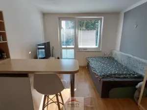 Pronájem bytu 1+kk, Valašské Meziříčí, Vsetínská, 24 m2
