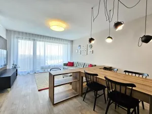 Pronájem bytu 2+kk, Plzeň - Jižní Předměstí, U Borského parku, 67 m2