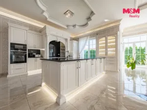Prodej rodinného domu, Šestajovice, U Váhy, 356 m2