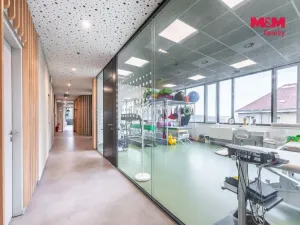 Pronájem komerční nemovitosti, Praha, Jihlavská, 25 m2
