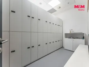Pronájem komerční nemovitosti, Praha, Jihlavská, 25 m2