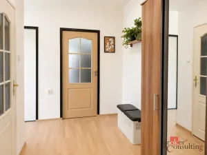Prodej bytu 2+1, Bílina - Teplické Předměstí, M. Švabinského, 54 m2