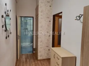 Pronájem bytu 1+kk, České Budějovice - České Budějovice 3, B. Smetany, 38 m2