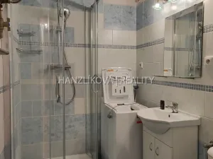 Pronájem bytu 1+kk, České Budějovice - České Budějovice 3, B. Smetany, 38 m2