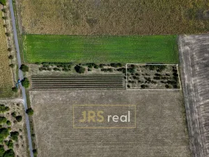 Prodej zahrady, Šakvice, 1790 m2