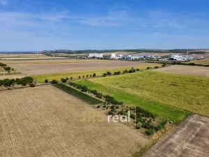 Prodej zahrady, Šakvice, 1790 m2
