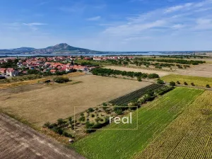 Prodej pozemku, Šakvice, 1711 m2