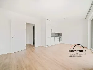 Pronájem bytu 1+kk, Praha - Chodov, Horynova, 32 m2