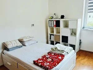 Prodej bytu 1+1, Praha - Záběhlice, Záběhlická, 48 m2