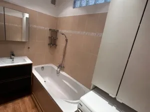 Pronájem bytu 3+kk, Opava - Předměstí, U Opavice, 68 m2