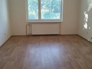 Pronájem bytu 1+1, Přerov - Přerov I-Město, Osmek, 50 m2