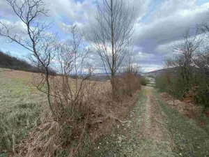 Prodej pole, Javorník, 1556 m2
