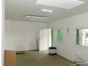 Pronájem skladu, Brno - Horní Heršpice, 310 m2