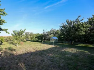 Prodej zahrady, Žitenice, Pohořanská, 835 m2