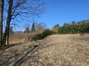 Prodej pozemku pro bydlení, 4936 m2