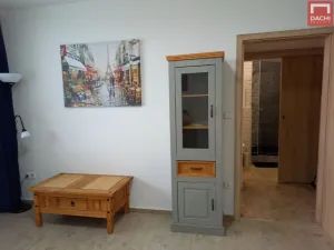 Pronájem bytu 1+1, Olomouc - Povel, Nešporova, 31 m2