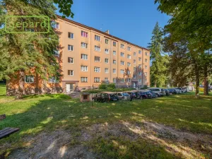Prodej bytu 2+1, Sokolov, Karla Čapka, 64 m2