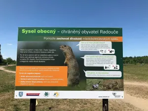 Prodej bytu 2+1, Mladá Boleslav, Na Radouči, 55 m2