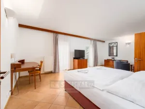 Prodej ubytování, Přední Výtoň, 900 m2