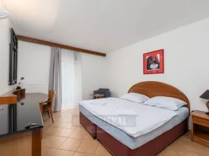 Prodej ubytování, Přední Výtoň, 900 m2