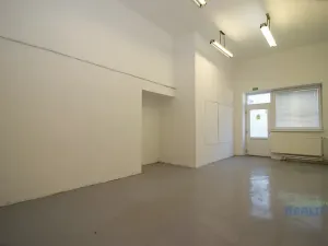 Pronájem skladu, Brandýs nad Labem-Stará Boleslav, Pražská, 28 m2