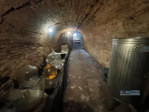 Prodej vinného sklepa, Zaječí, 95 m2