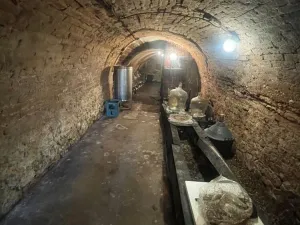 Prodej vinného sklepa, Zaječí, 95 m2