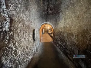 Prodej vinného sklepa, Zaječí, Hlavní, 95 m2