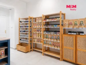 Pronájem obchodního prostoru, Praha - Vinohrady, Záhřebská, 32 m2