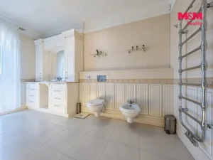 Prodej rodinného domu, Šestajovice, U Váhy, 356 m2