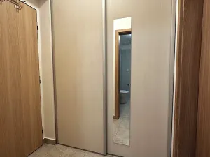 Pronájem bytu 1+kk, Milovice, Armádní, 24 m2